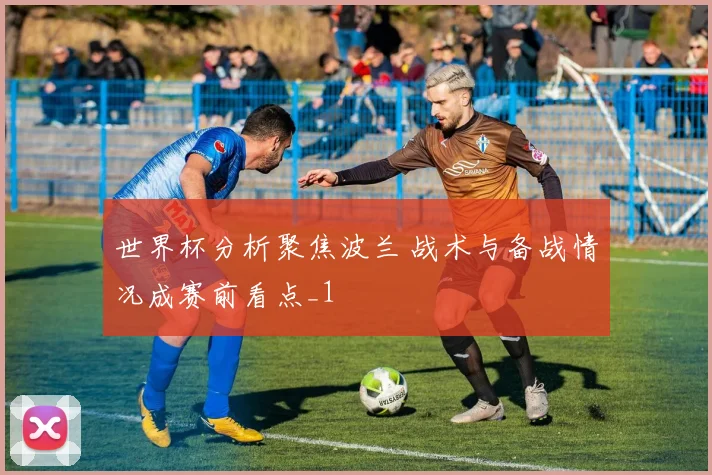 世界杯分析聚焦波兰 战术与备战情况成赛前看点_1